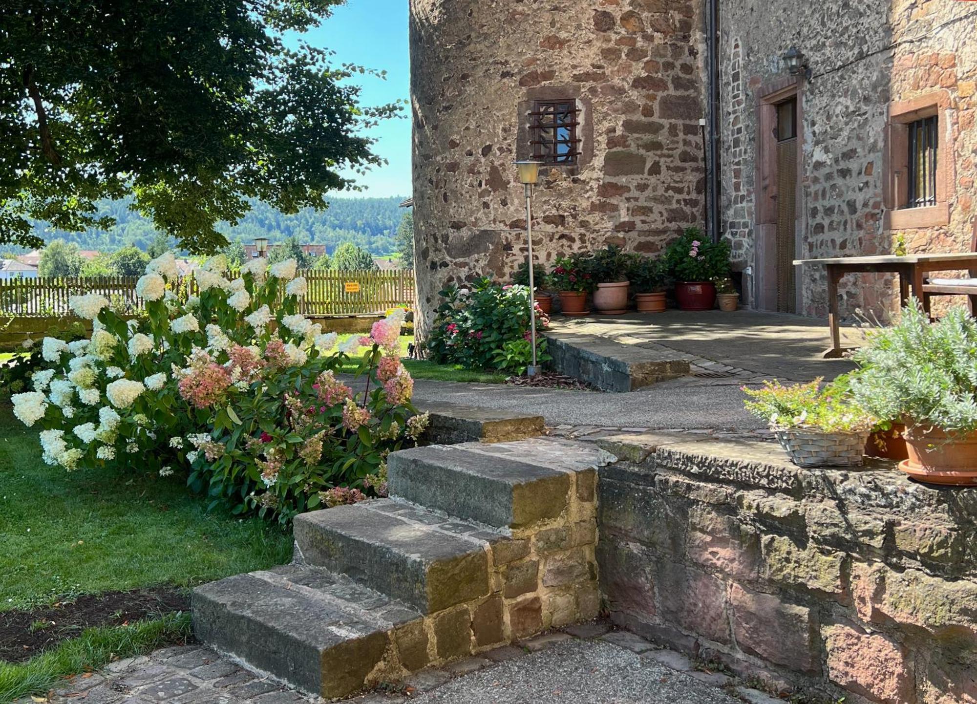 Graefin Amalia - Elegantes Apartment In Der Historischen Hinterburg In Schlitz, 2 Schlafzimmer, Mit Garten, Nahe Fulda Und Bad Hersfeld 外观 照片