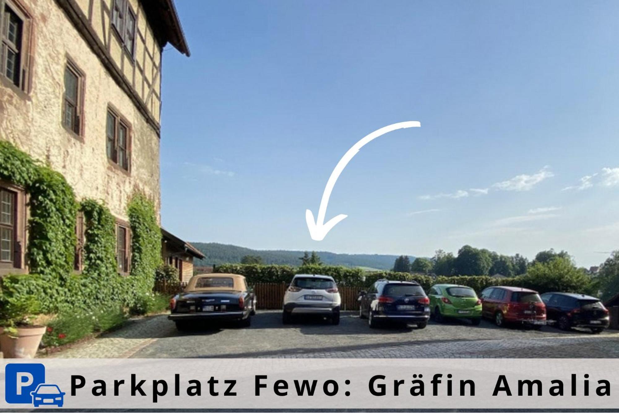 Graefin Amalia - Elegantes Apartment In Der Historischen Hinterburg In Schlitz, 2 Schlafzimmer, Mit Garten, Nahe Fulda Und Bad Hersfeld 外观 照片